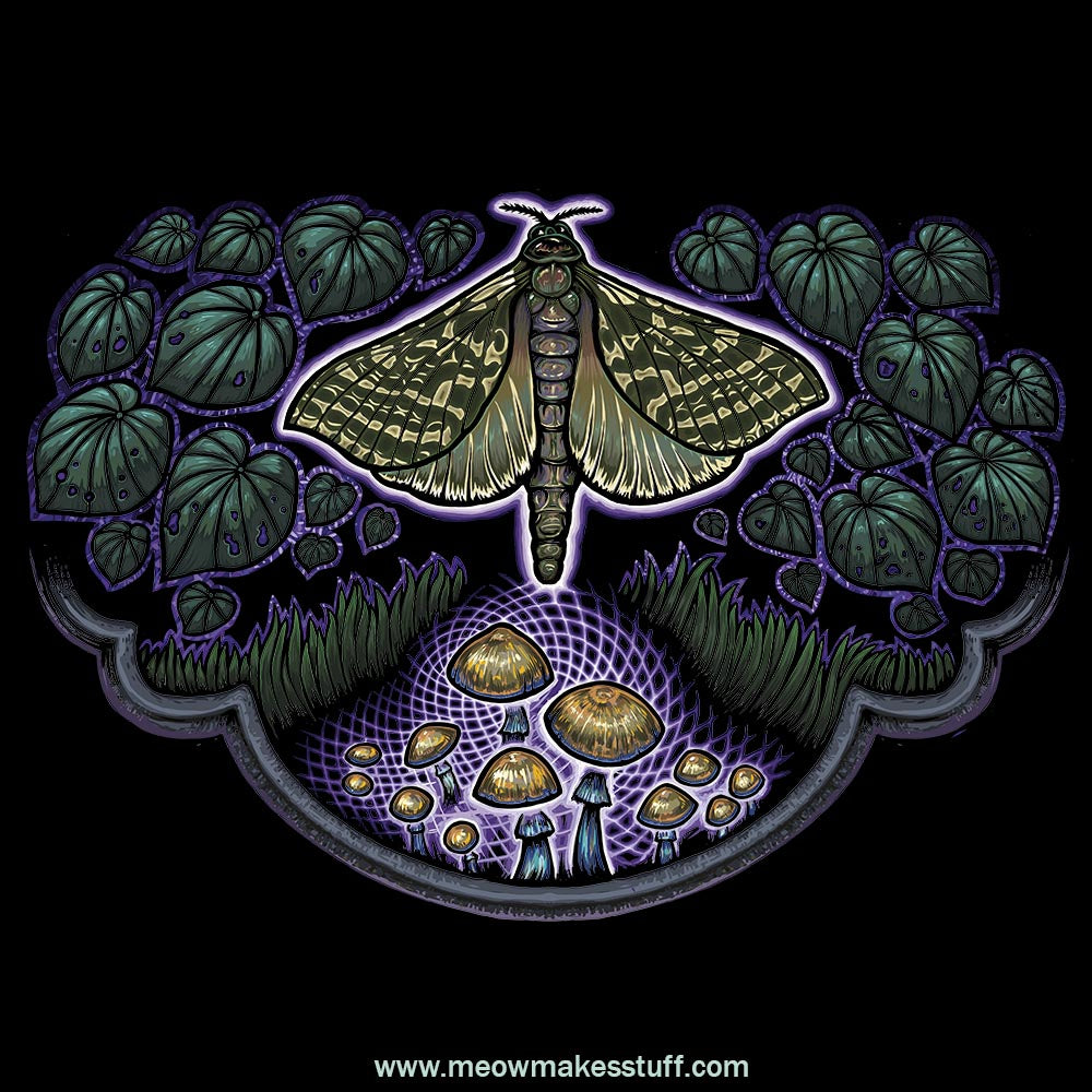 T-Shirt Puriri Moth